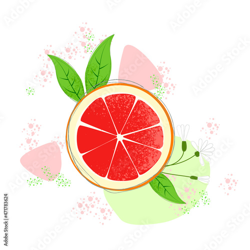 Lime lime is isolated on a white background. Vector image