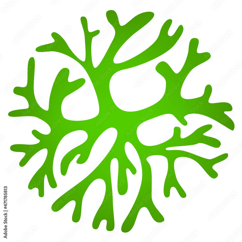 Isolated icon of Seaweed marine Plant, Seaweed Isolated icon of Seaweed marine Plant, Seaweed