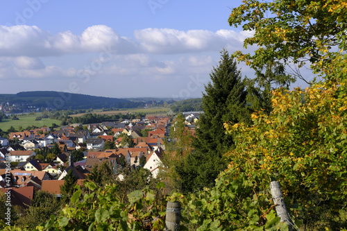 Landschaft und Weinberge bei Stammheim am Main, Landkreis Schweinfurt, Unterfranken, Franken,  Bayern, Deutschland photo