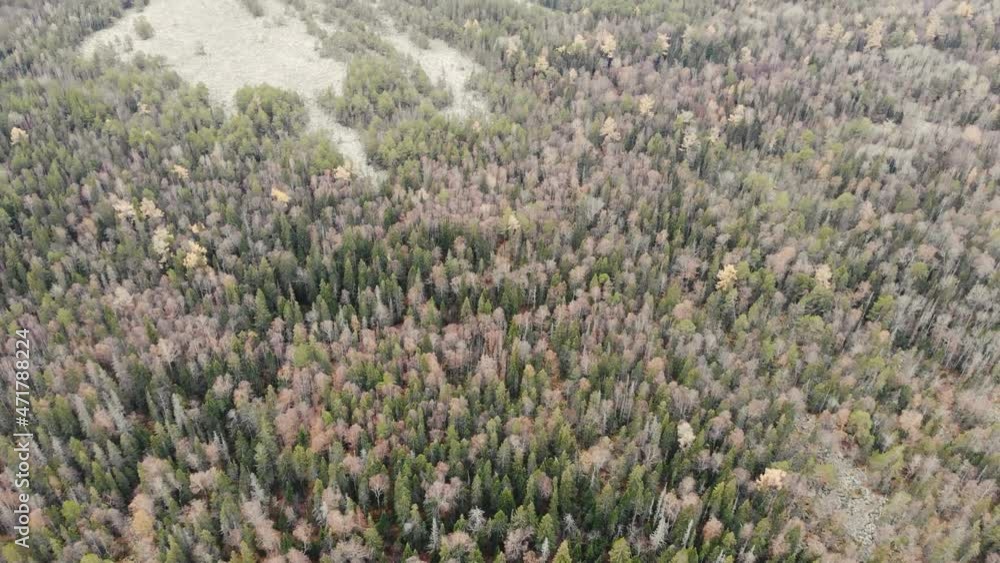 Aerial view of the river of stones among the dense coniferous forest and the top of the mountain. Flying over trees. Other mountain peaks are visible in the distance. Autumn. Drone videoshooting Aerial view of the river of stones among the dense coniferous forest and the top of the mountain. Flying over trees. Other mountain peaks are visible in the distance. Autumn. Drone videoshooting