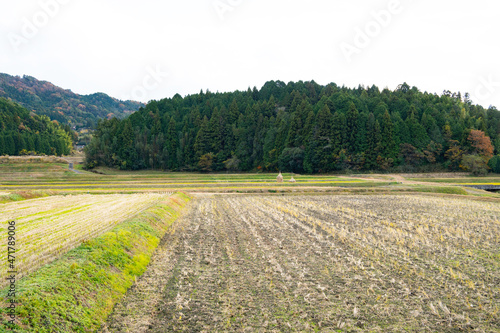 Landscape of Yashiro where hooded cranes wintering