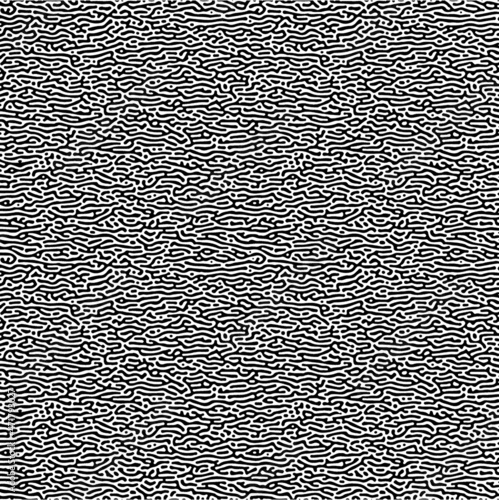 Turing pattern. Reaction-diffusion model. Chemical bases of morphogenesis.