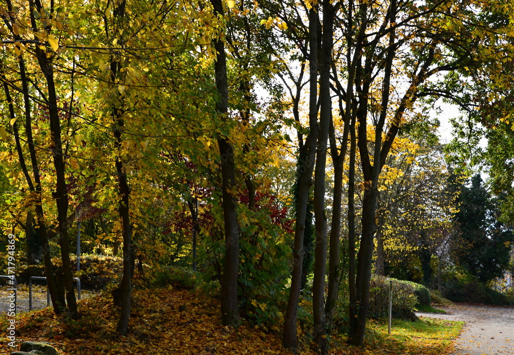 Herbst Landschaft im Park am Fluss Aller im Dorf Rethem, Niedersachsen Herbst Landschaft im Park am Fluss Aller im Dorf Rethem, Niedersachsen
