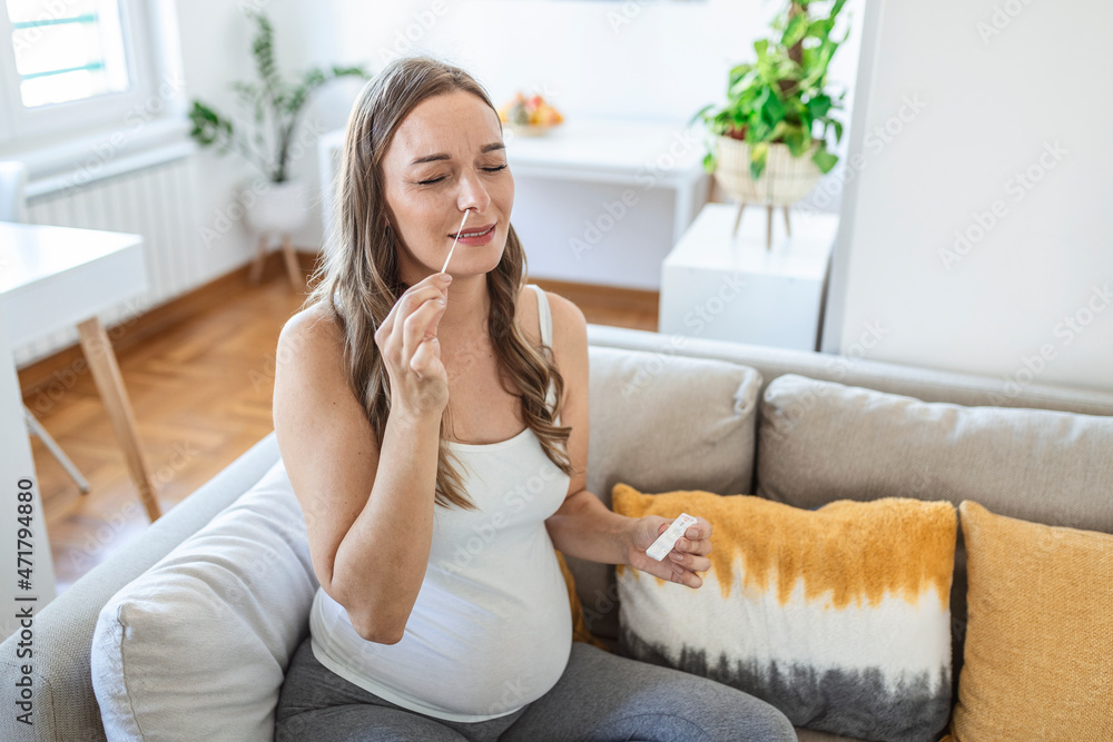 Pregnant woman taking a Self-swabbing home tests for COVID-19 at home with Antigen kit. Introducing nasal stick to check the infection of Coronavirus. Quarantine, pandemic. Pregnant woman taking a Self-swabbing home tests for COVID-19 at home with Antigen kit. Introducing nasal stick to check the infection of Coronavirus. Quarantine, pandemic.