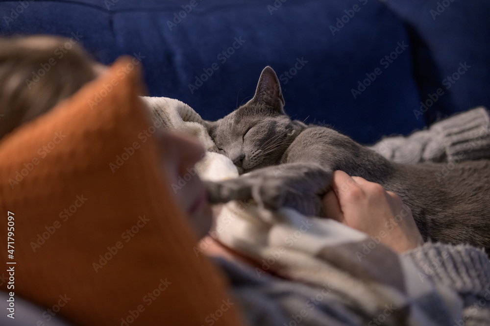 Kot śpiący na kobiecie. Kot śpiący na ludzkiej mamie. Kot z mamusią. Miłość kota do człowieka. - obrazy, fototapety, plakaty 