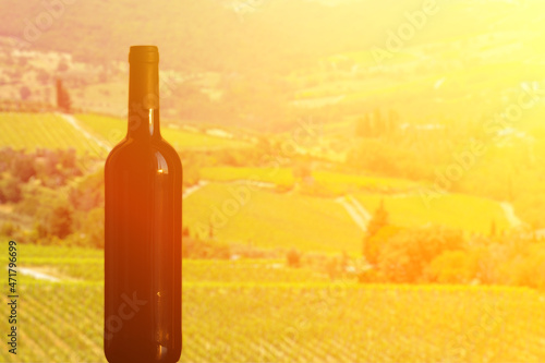 wine plantation in Italy background wine bottle in sunset vineyards and fields