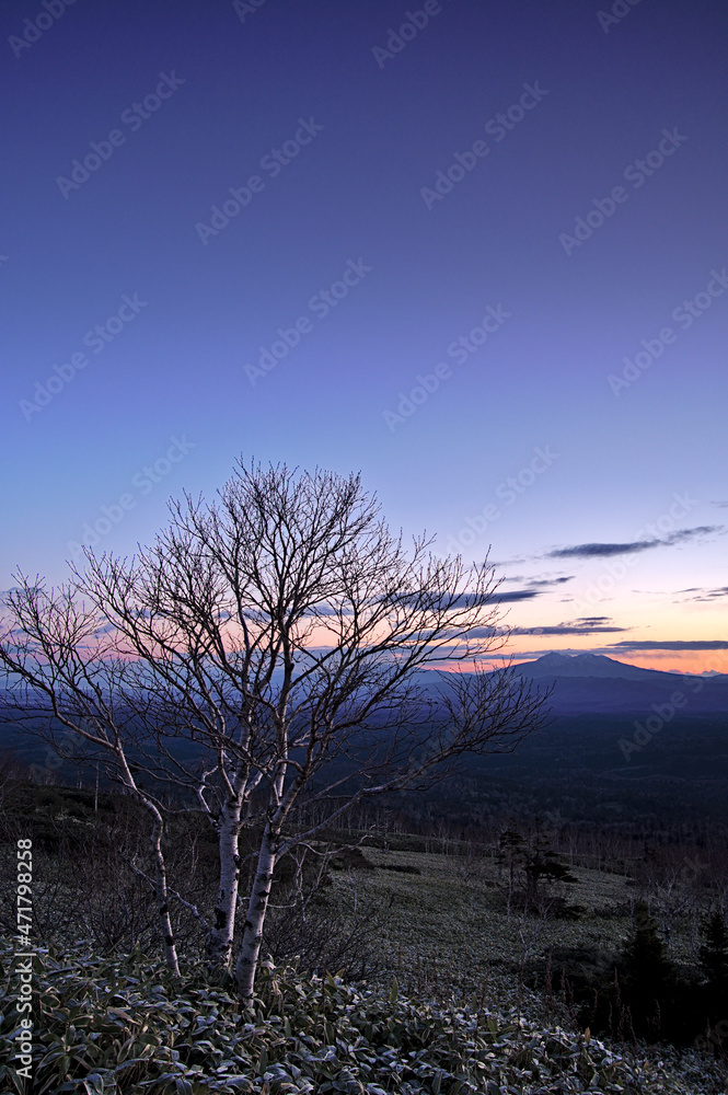 グラデーションの空と山々のシルエットを背景に下夜明けの風景。