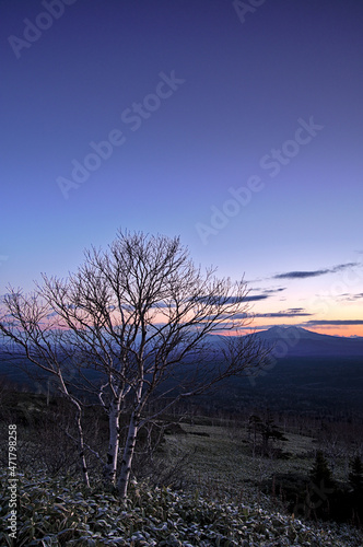 グラデーションの空と山々のシルエットを背景に下夜明けの風景。
