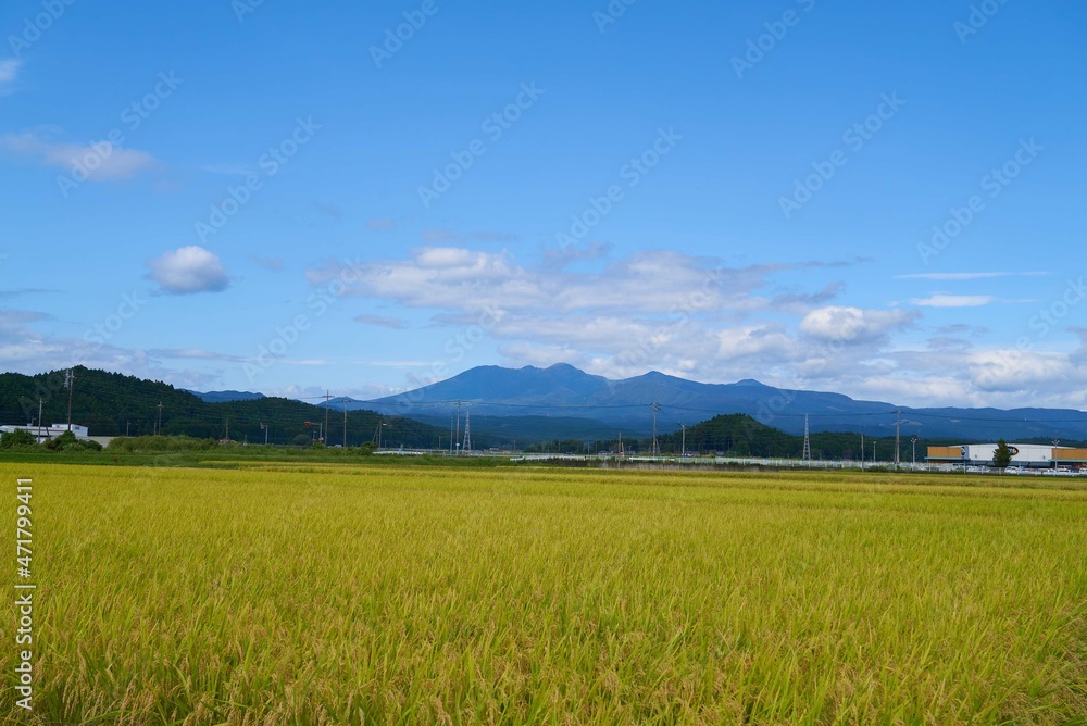 Fototapeta premium 高原山