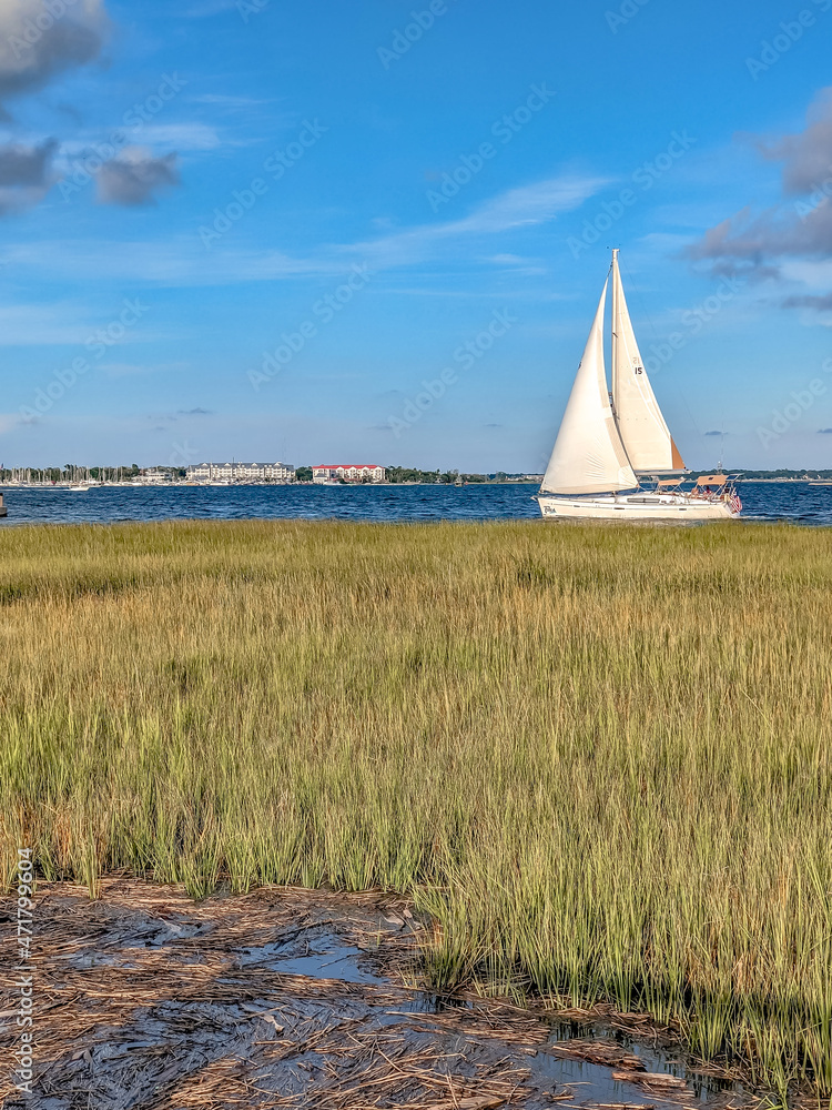 Obraz premium scenes at charleston south carolina waterfront park