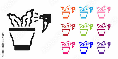 Black Spraying a house plant with a spray gun icon isolated on white background. Moistening of foliage. Care for home flowers. Set icons colorful. Vector