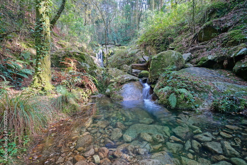 Small river with clear water in the forest  Spain  Galicia  Rio De La Fraga  Pontevedra province
