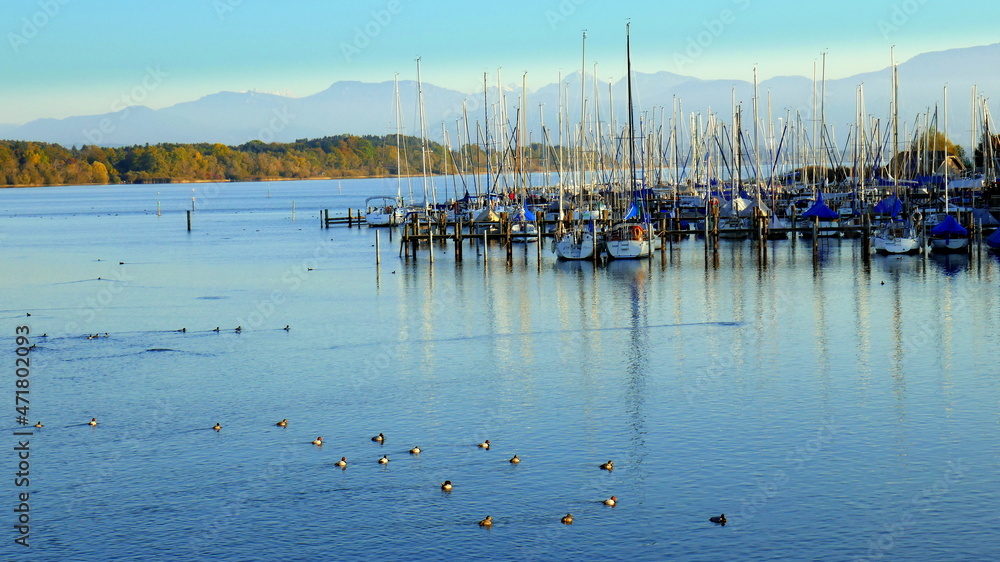 viele Segelboote liegen am Hafen im ruhigen Chiemsee mit vielen Wasservögeln vor herrlicher Bergkulisse
