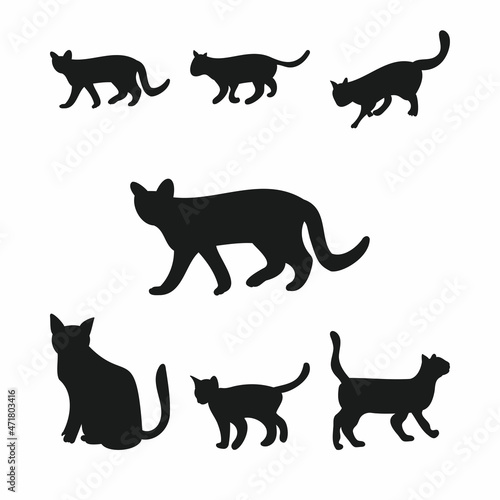 Fototapeta Naklejka Na Ścianę i Meble -  Cat Silhouette vector set with multiple shapes. Cats with different poses silhouettes. Cat vector. Cat walking and sitting. Feline collection on white background. Black kitty vector set design.