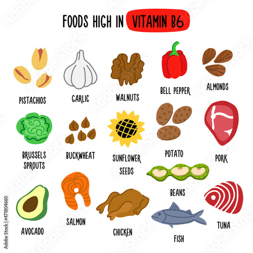 Foods High in vitamin B6. Vector illustration with healthy foods rich in vitamin B6. Organic Food Collection