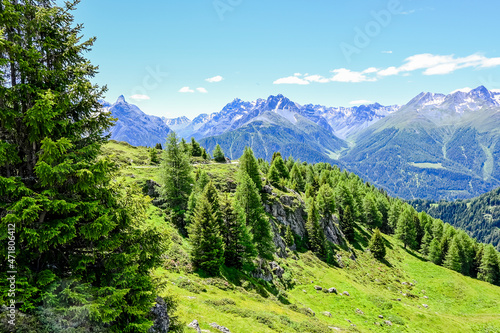 Ftan, Alpe Laret, Wanderweg, Unterengadin, via Engiadina, Alpen, Engadin, Innschlucht, Inn, Fluss, Graubünden, Sommer, Schweiz