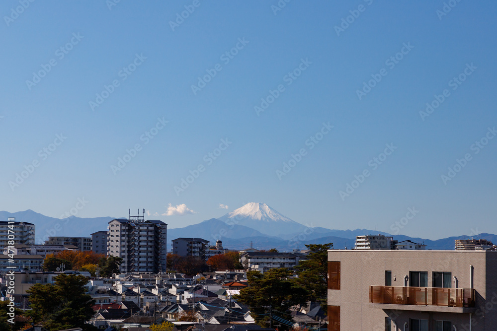 Obraz premium 富士山、快晴の空のもと西東京市から見た冠雪した富士
