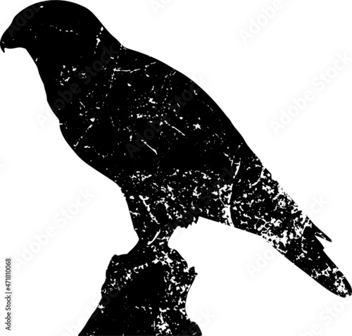 Grunge falcon