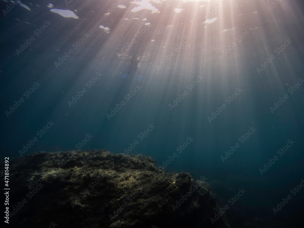Obraz premium snorkel contre jour