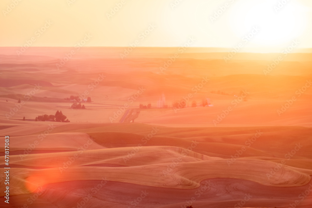 Naklejka premium Green rolling hills of farmland wheat fields seen from the Palouse washington