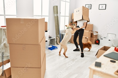 Photography Young hispanic woman wearing funny cardboard on head playing with dogs at new ho