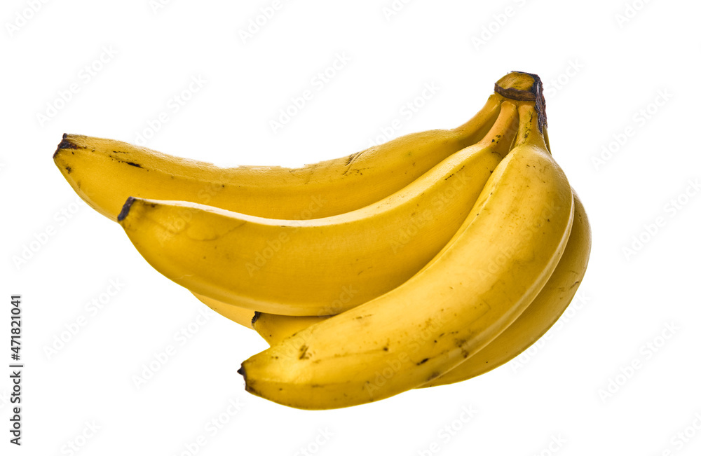 Bunch of bananas isolated on a white background Bunch of bananas isolated on a white background