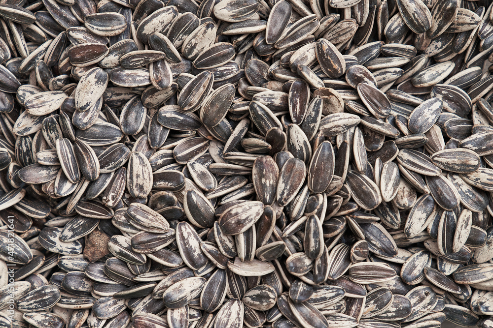 Beautiful sunflower seeds image