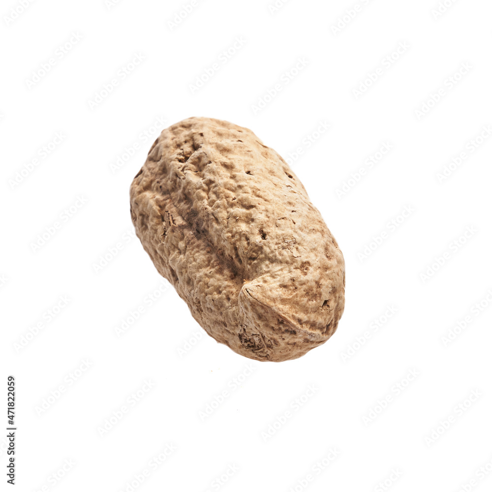 Single peanut with shell isolated on a white background Single peanut with shell isolated on a white background