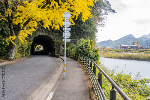 耶馬渓 - 青の洞門 - 競秀峰