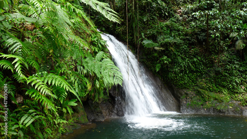Lush green hidden waterfall in the Caribbean