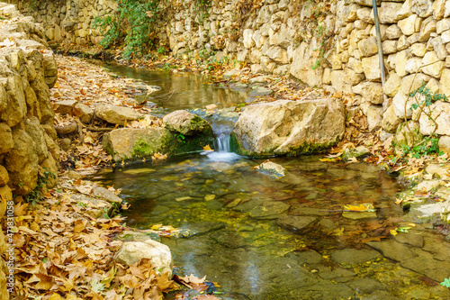 Kesalon Stream with trees  and fall foliage  En Hemed