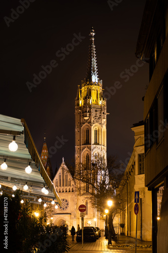 Hungary  Matthias Church in night illumination  autumn landscape