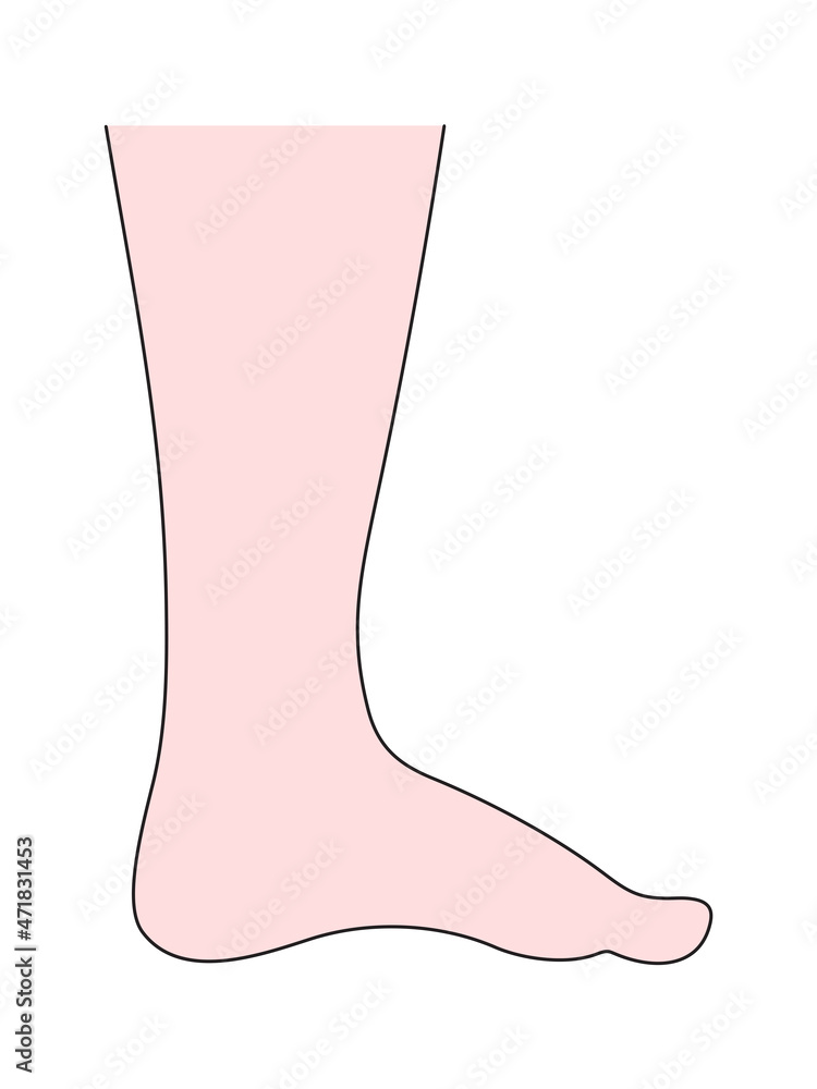 Human foot in side view, flat style vector illustration, isolated on white background Human foot in side view, flat style vector illustration, isolated on white background