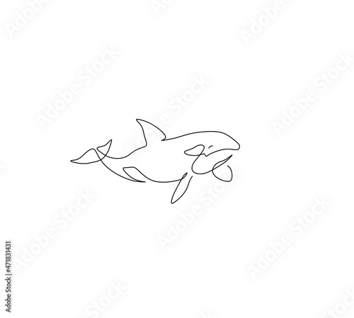Vector isolated killer whale dolphin orca contour line drawing. Colorless black line outline minimal sketch. Single line art dolphin, killer whale 