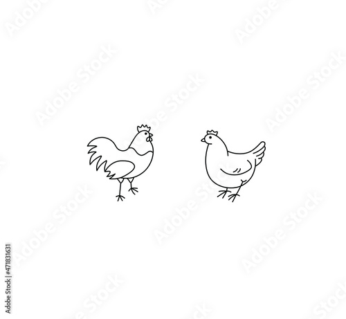 Vector isolated cute cartoon contour chicken and hen couple drawing. Colorless black and white chicken hen hand doodle drawn outline sketch.