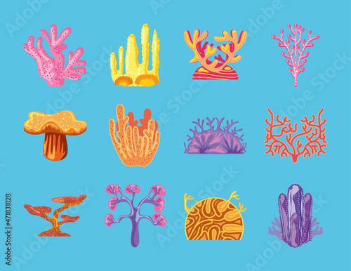set tropical corals