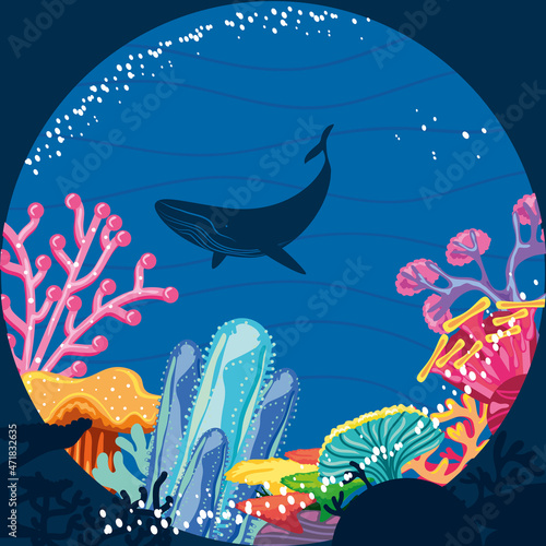whale coral reef