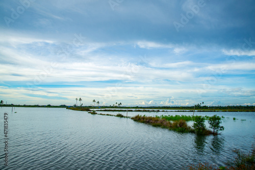 Beautiful backwaters  photography  evening time, Kerala backwaters landscape photography, Kerala backwaters photography during day time Kadamakkudy Kerala