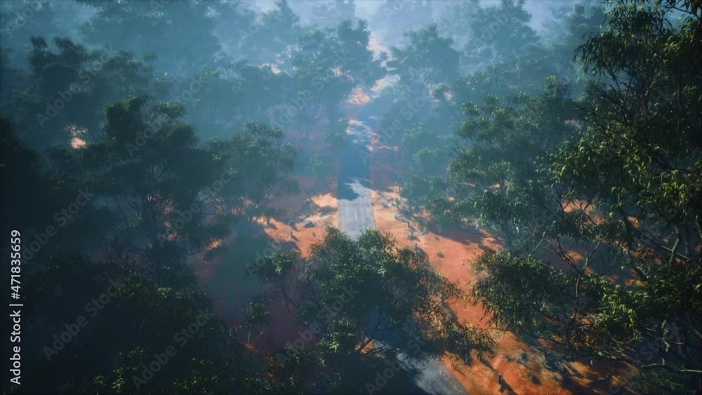 aerial view of landscape with green tropical trees and local roads aerial view of landscape with green tropical trees and local roads