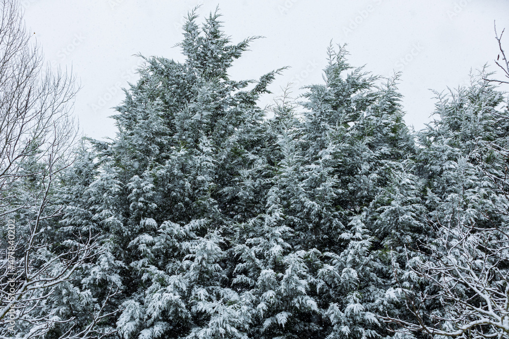 Winterliche Landschaft mit Schnee in Frankreich Winterliche Landschaft mit Schnee in Frankreich