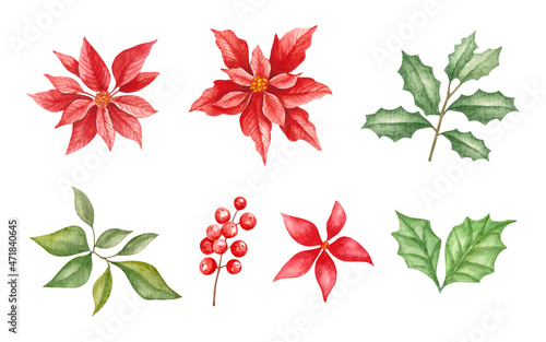 Set of watercolor hand drawn christmas flower and leaves collection