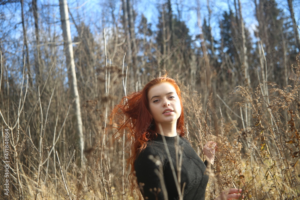 Young woman in the autumn forest girl pretty cute face female smile field red hair beauty one person model portrait girls outdoor beautiful lady Young woman in the autumn forest girl pretty cute face female smile field red hair beauty one person model portrait girls outdoor beautiful lady