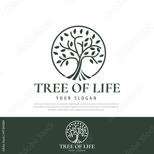 Abstract tree logo premium leaf symbol tree of life circle illustration.can be used for cosmetic business,spa,icons,symbols