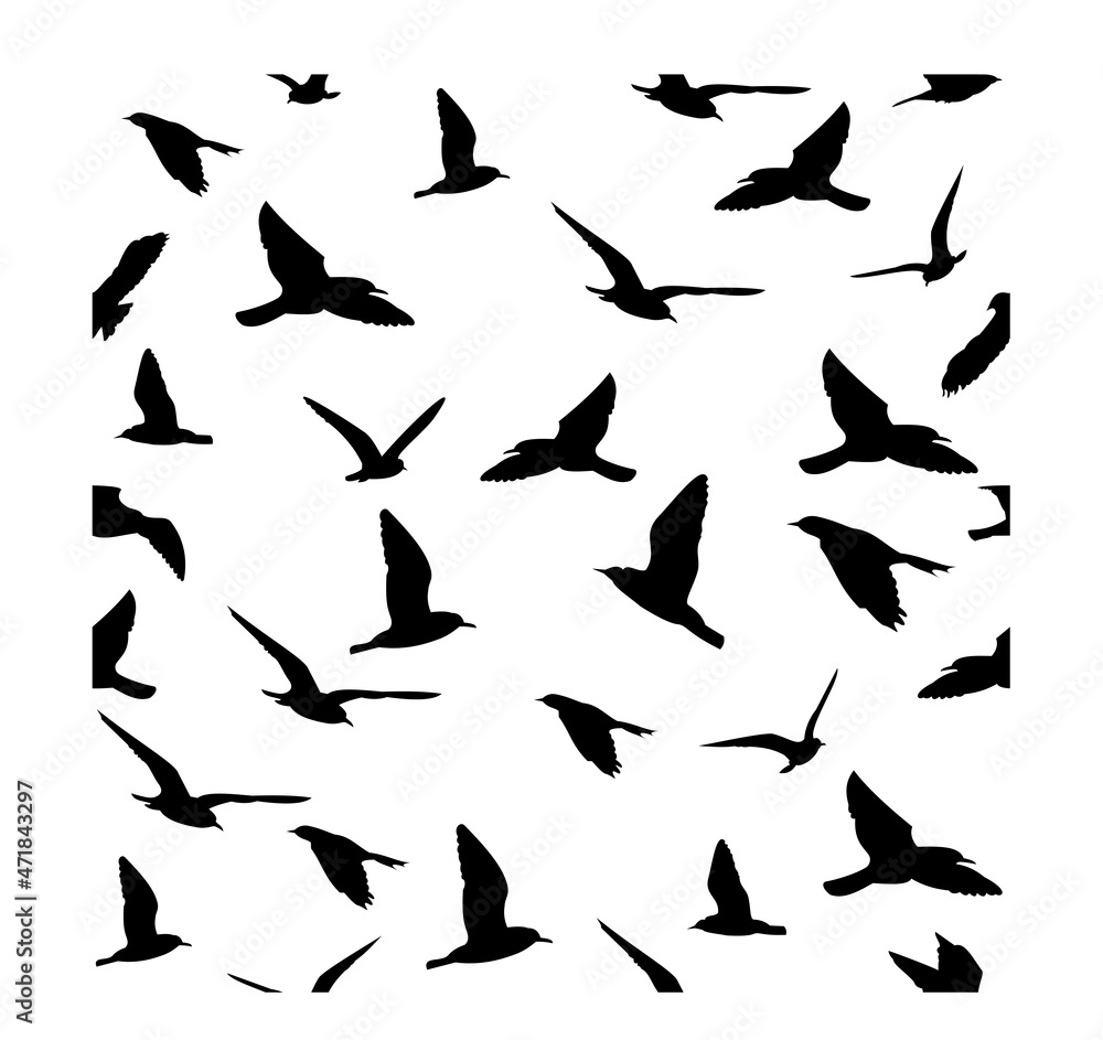 vector background pattern with fry silhouettes of birds, black silhouettes on a white background, suitable for printing on fabric wallpaper, paper vector background pattern with fry silhouettes of birds, black silhouettes on a white background, suitable for printing on fabric wallpaper, paper