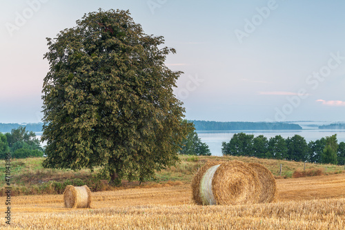 Fototapeta Naklejka Na Ścianę i Meble -  View of the Masurian fields.
