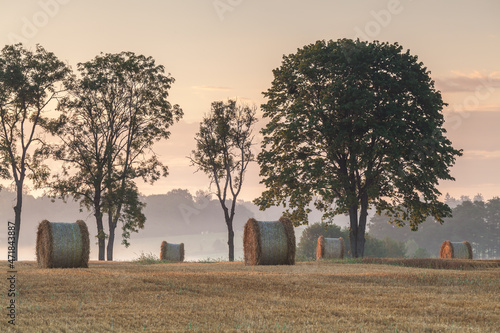 Fototapeta Naklejka Na Ścianę i Meble -  View of the Masurian fields.
