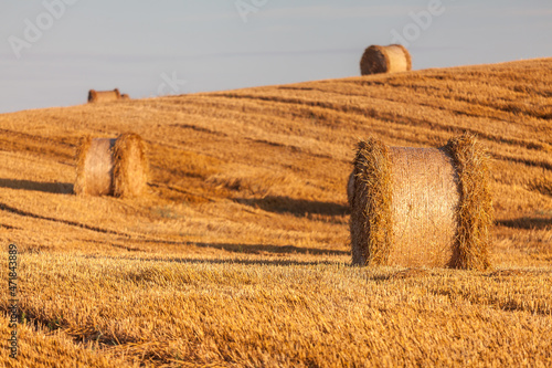 Fototapeta Naklejka Na Ścianę i Meble -  View of the Masurian fields.