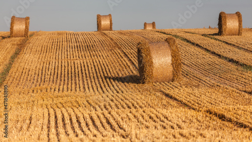 Fototapeta Naklejka Na Ścianę i Meble -  View of the Masurian fields.