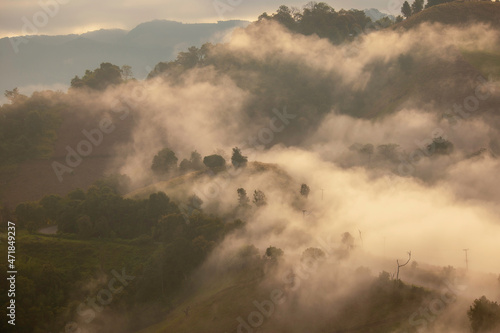 Wallpaper Mural The humidity in the air floated into a mist over the mountains in the morning, looking beautiful. Torontodigital.ca