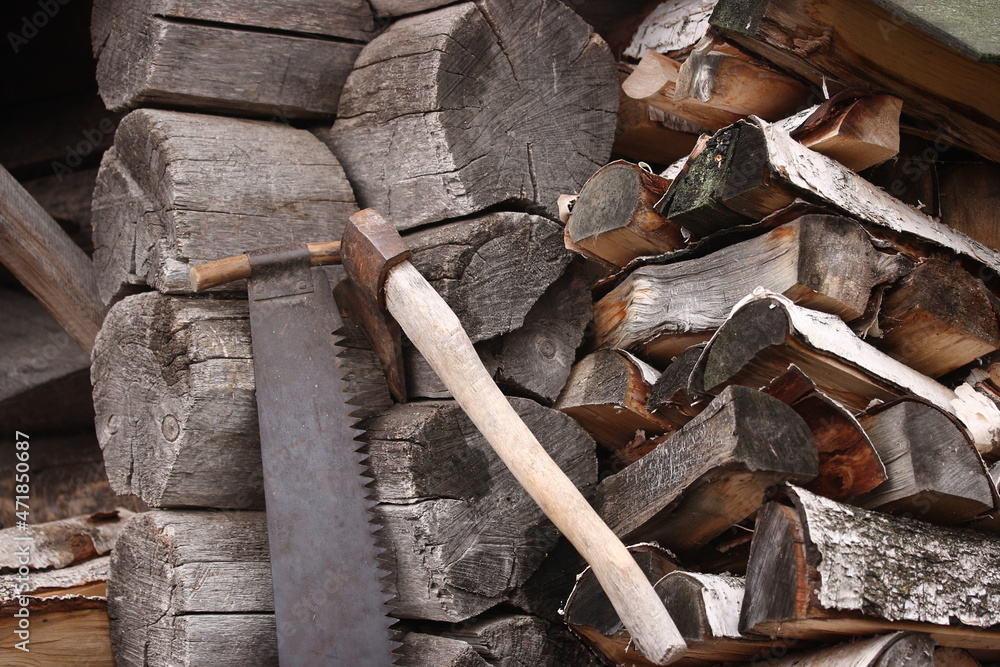 Old two-handed saw on the background of birch firewood Old two-handed saw on the background of birch firewood